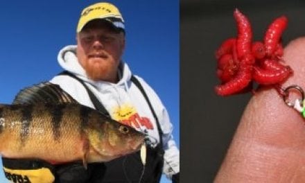 Baiting Technique Turns Fish to Stone