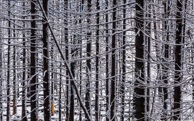 Behind The Shot: After The Fire