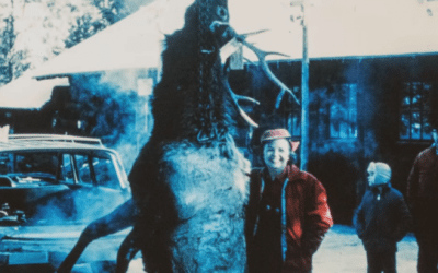 Celebrating 100 Years of the Rise of Elk in Michigan