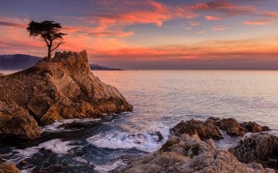 Close To Home Assignment Winner Erick Castellon