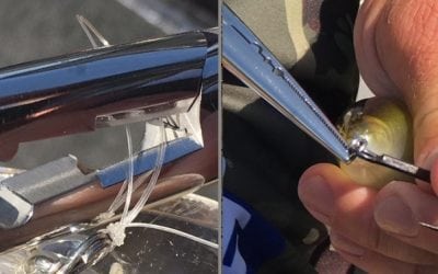 Cuda 8” Titanium Bonded Stainless Steel Freshwater Plier with Ring Splitter