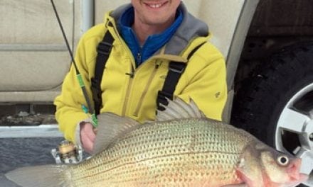 Devils Lake White Bass World Record Awaiting Confirmation