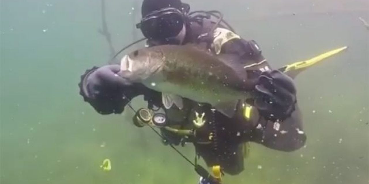 Ever Considered Bass Fishing Underwater?