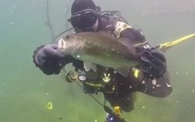 Ever Considered Bass Fishing Underwater?