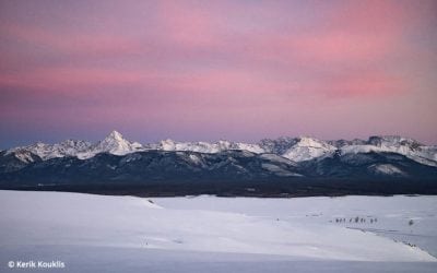 Expedition To Mongolia