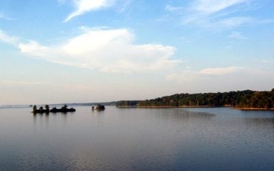 Five things to consider for reservoir smallmouth bass season in KY and TN