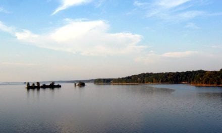 Five things to consider for reservoir smallmouth bass season in KY and TN