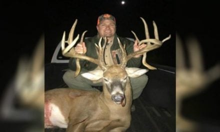 Giant Illinois Buck Taken Illegally in Honest Mistake, but Controversy Follows