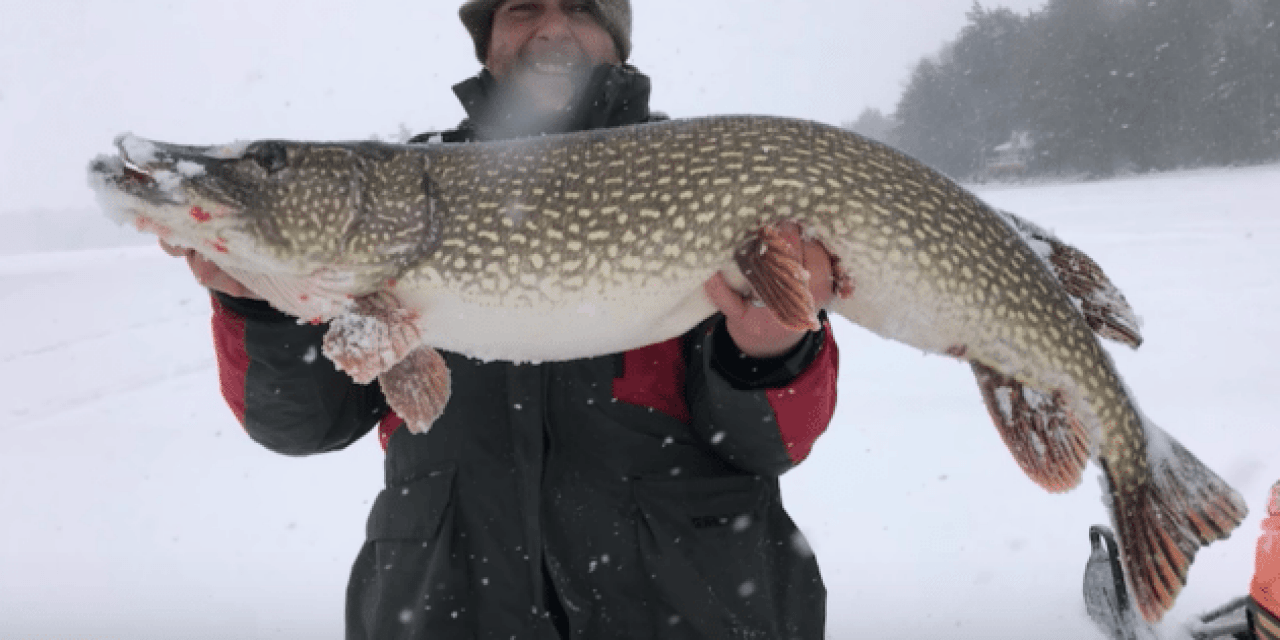 Here’s the Story Behind This Giant Northern Pike Caught Through the Ice