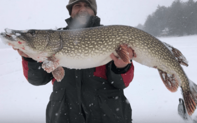Here’s the Story Behind This Giant Northern Pike Caught Through the Ice