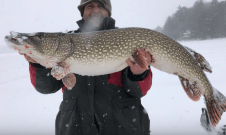 Here’s the Story Behind This Giant Northern Pike Caught Through the Ice