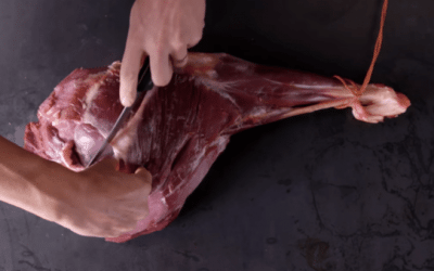 How to Break Down a Deer’s Hind Leg to Get the Best Cuts of Meat
