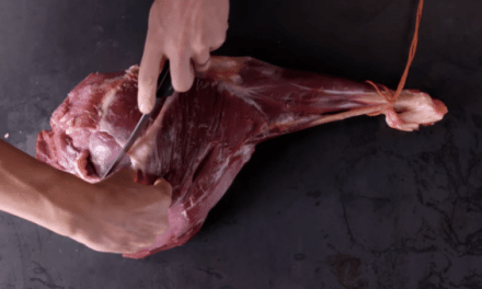 How to Break Down a Deer’s Hind Leg to Get the Best Cuts of Meat