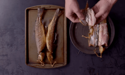 How to Make Smoked Trout: It’s Easy!