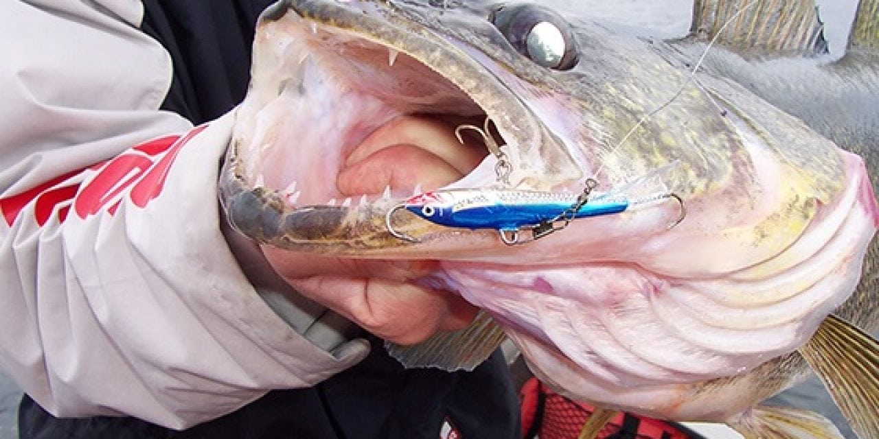 How To Use the Jigging Rap for Walleyes