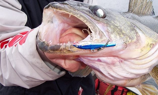 How To Use the Jigging Rap for Walleyes