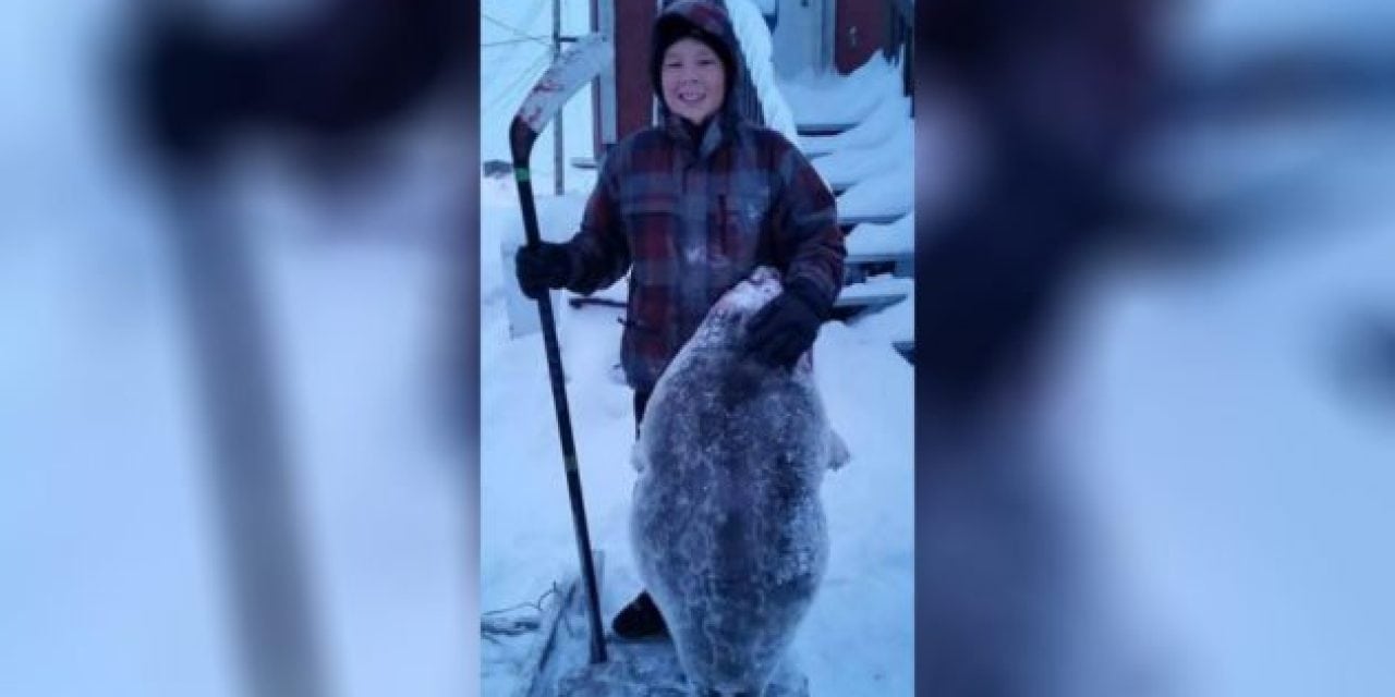 Inuk Boy Kills Seal with Hockey Stick, Then Gets Both Celebrated and Criticized