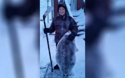 Inuk Boy Kills Seal with Hockey Stick, Then Gets Both Celebrated and Criticized
