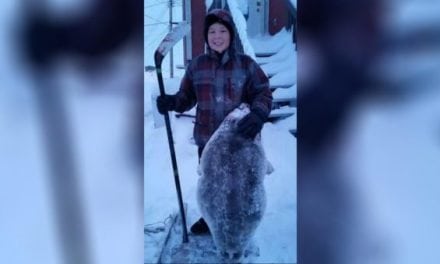 Inuk Boy Kills Seal with Hockey Stick, Then Gets Both Celebrated and Criticized