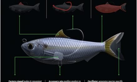 LIVETARGET Swimbait ProTips Video