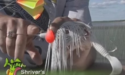 Lures for Fishing Rushes – The Next Bite