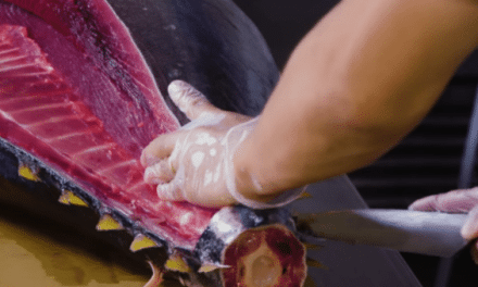 Master Butchery of a Whole Tuna on Display in Beautiful Video