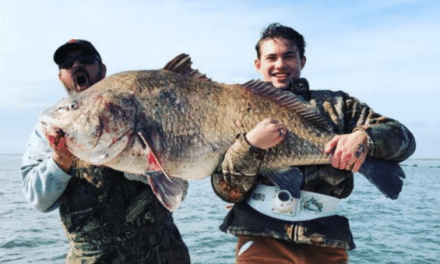 Monster World-Record Drum Caught, Not Yet Confirmed