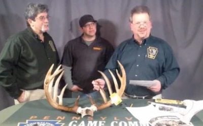 New Pennsylvania Whitetail Record Officially Announced This Month