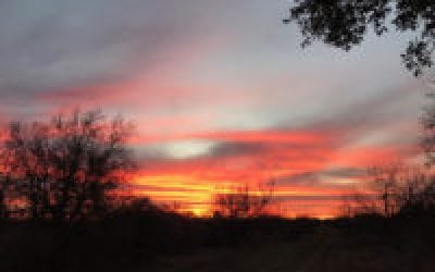 Nugent: Trigger Time in Texas