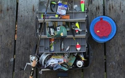Perfect Bait Rigs to Hook Trout Every Time