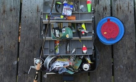 Perfect Bait Rigs to Hook Trout Every Time