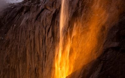 Photo Of The Day By Garry Everett