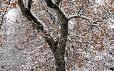 Photo Of The Day By Rick Moore