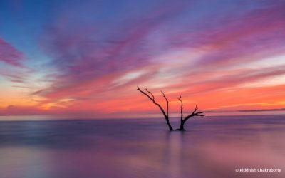 Photo Of The Day By Riddhish Chakraborty