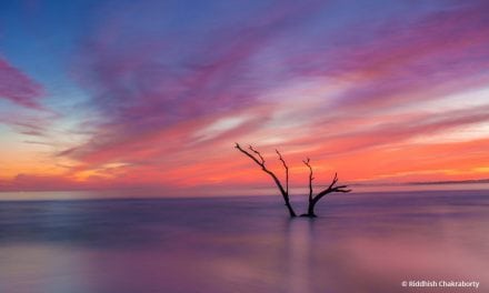 Photo Of The Day By Riddhish Chakraborty