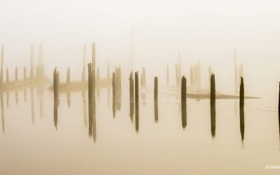 Photo Of The Day By Robert Potts