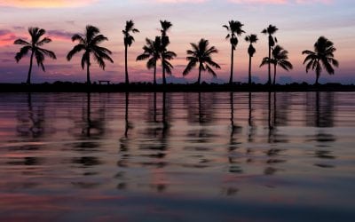 Photo Of The Day By Satesh Ramjattan