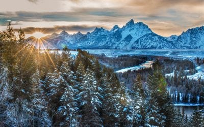 Photo Of The Day By Tammy Neufeld