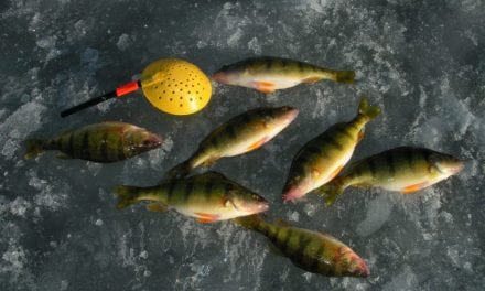 Piles of Panfish