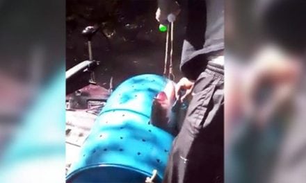 Remember When These Tournament Anglers Literally Used Fish in a Barrel?