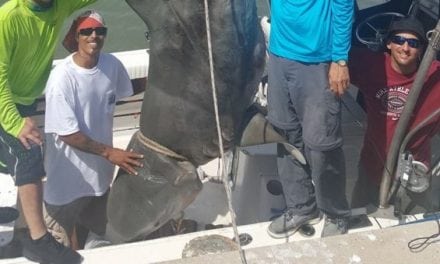 Remember When This 1,000-Pound Shark Almost Sank A Boat?