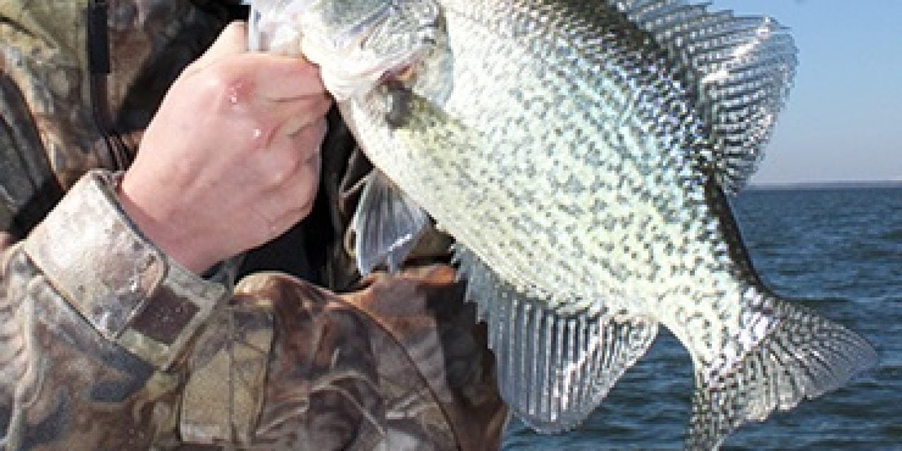 Slip Floats for Crappie