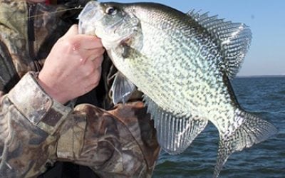 Slip Floats for Crappie