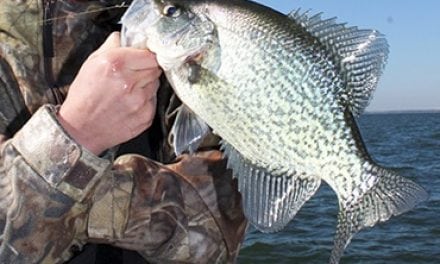 Slip Floats for Crappie