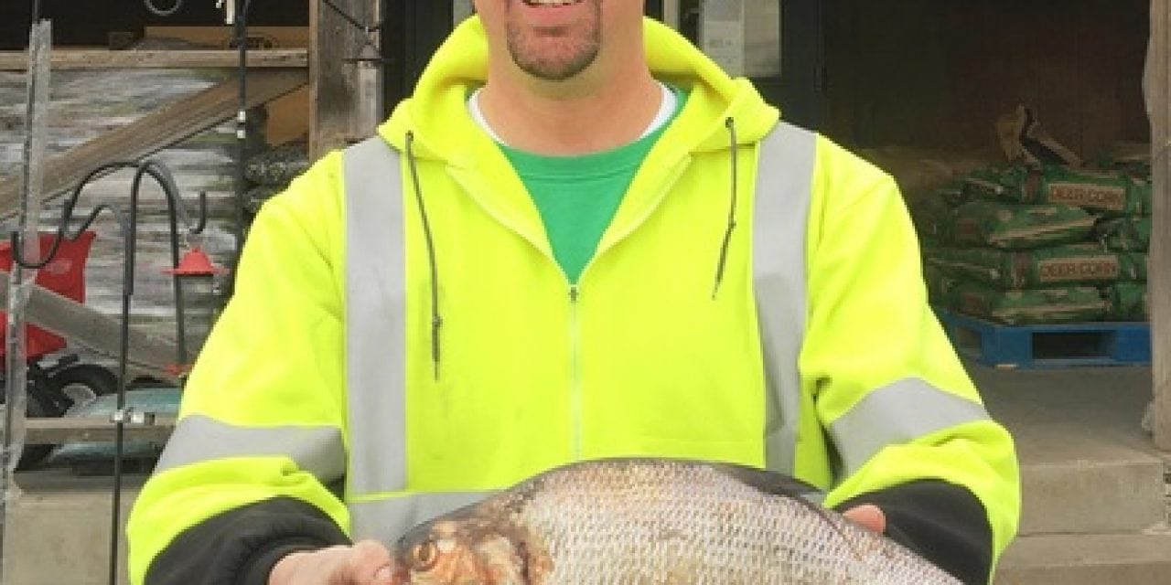 State-record gizzard shad landed in Missouri