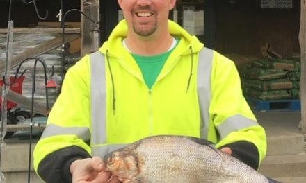 State-record gizzard shad landed in Missouri