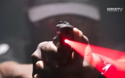 Take a Look at the LaserMax Guide Rod Laser