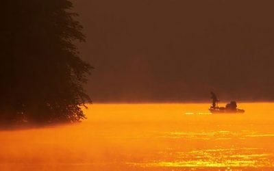 The 10 Best States for Bass Fishing