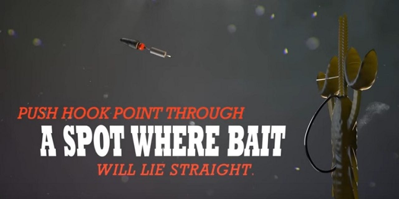 The Carolina Rig: Tricks, Tips and Tactics to Catch More Fish