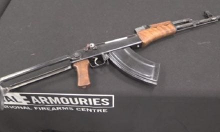 There’s a Bolt Action, AK-47 Mutant Rifle? Yep!